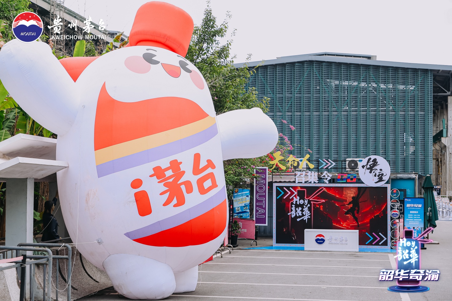 1730257864691696.jpg HAIY4048.jpg