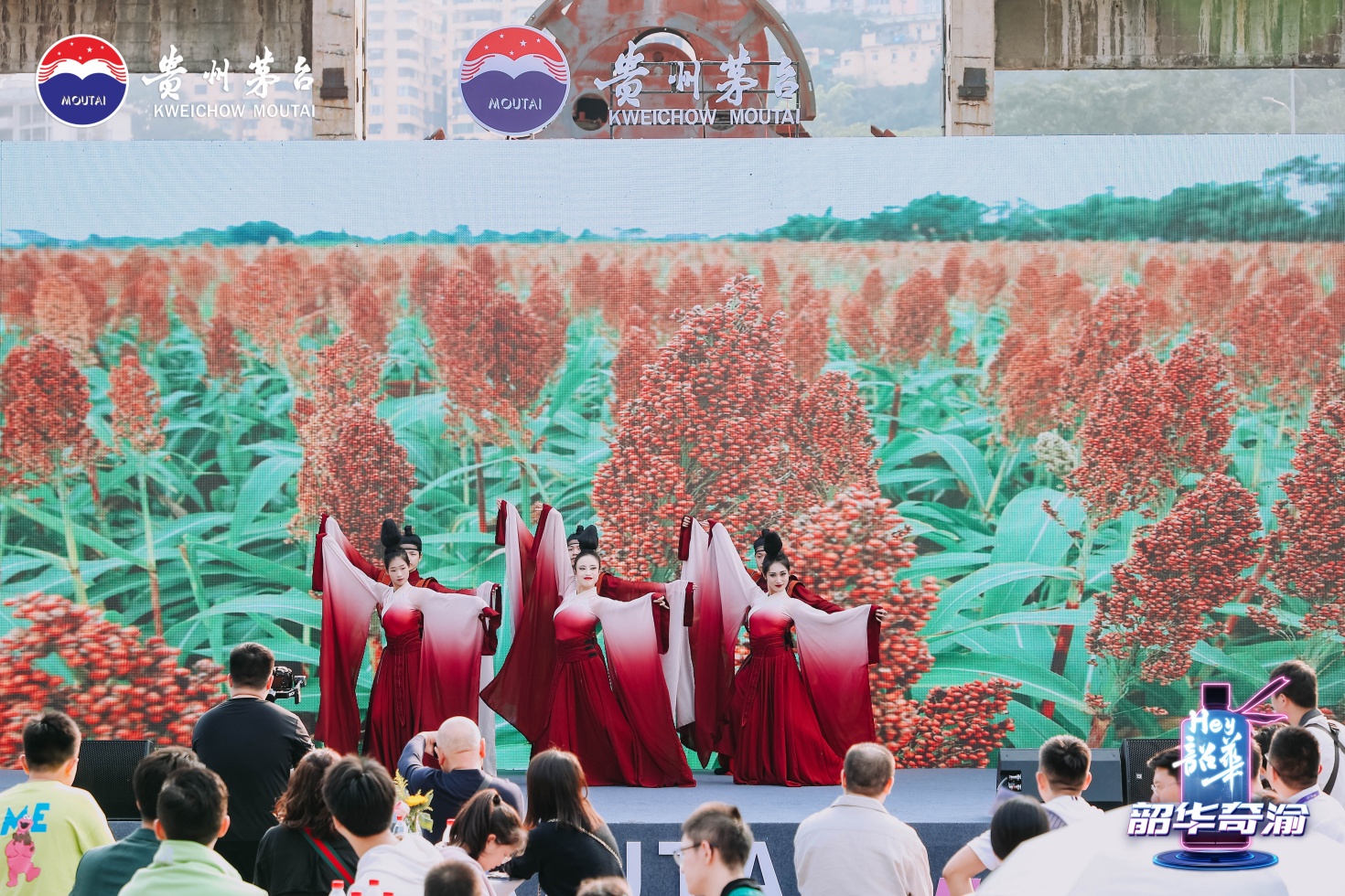 1730258017246269.jpg HAIY4859.jpg