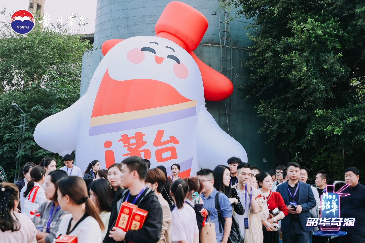 1730258090668044.jpg HAIY5030.jpg